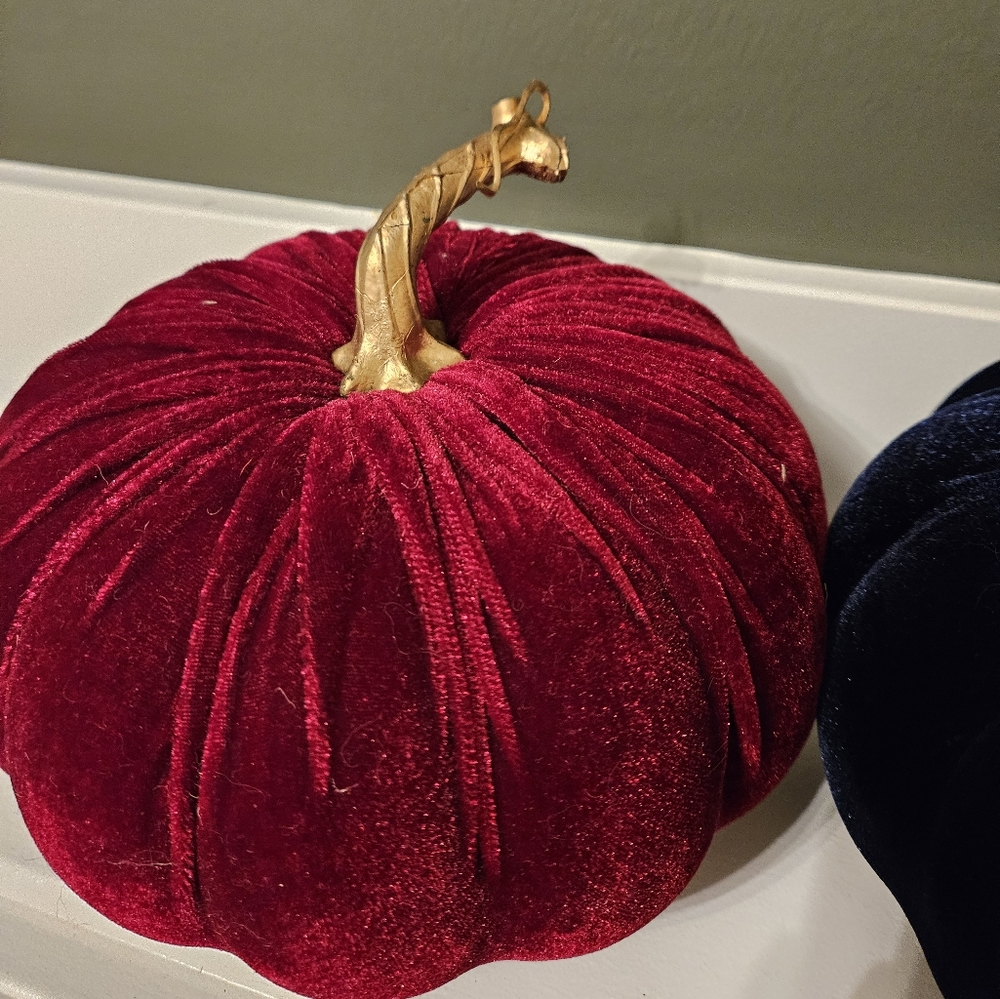 Velvet Pumpkins